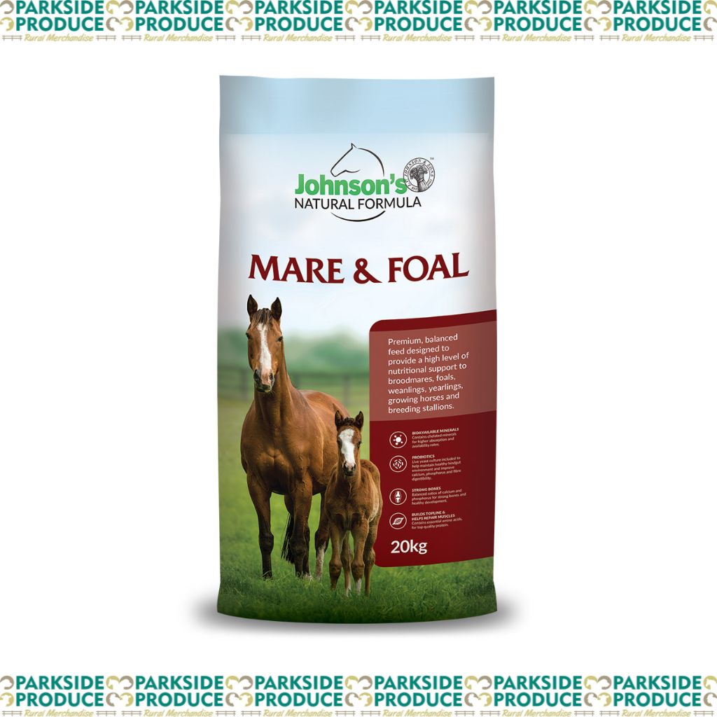 Mare and Foal