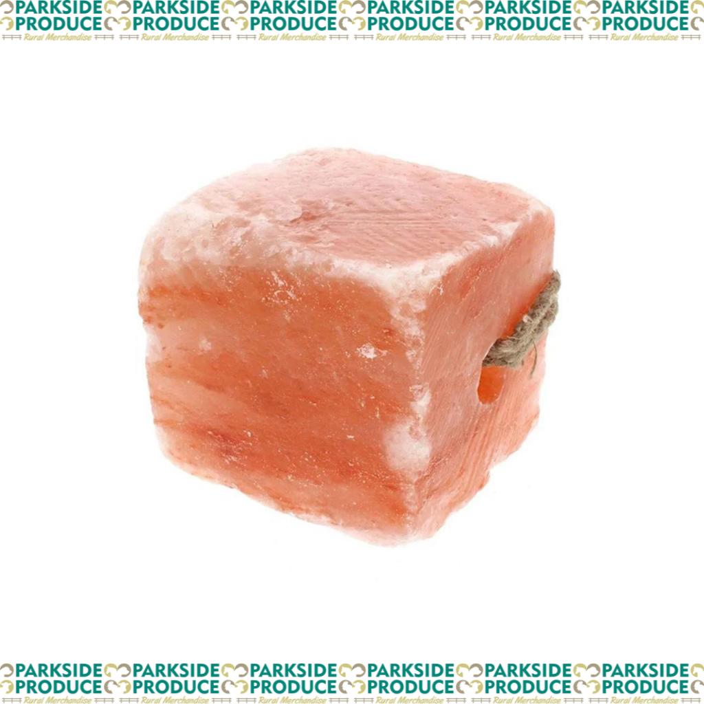 Minrosa Salt Block with Hole 6kg