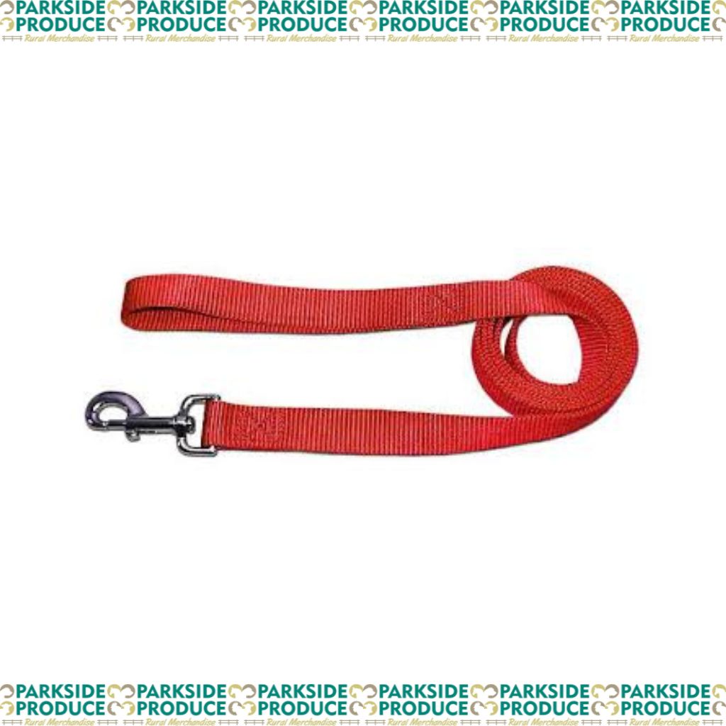 Dog Lead Nylon 25mm x 120cm