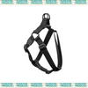 Nylon Step in Harness