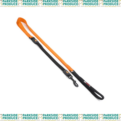 Dog Lead Bungee - 2.5 x 120cm w/bungee