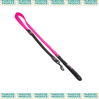 Dog Lead Bungee - 2.5 x 120cm w/bungee