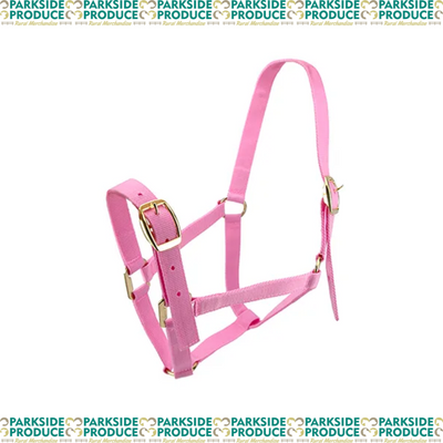 Horse Halter