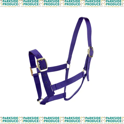 Horse Halter