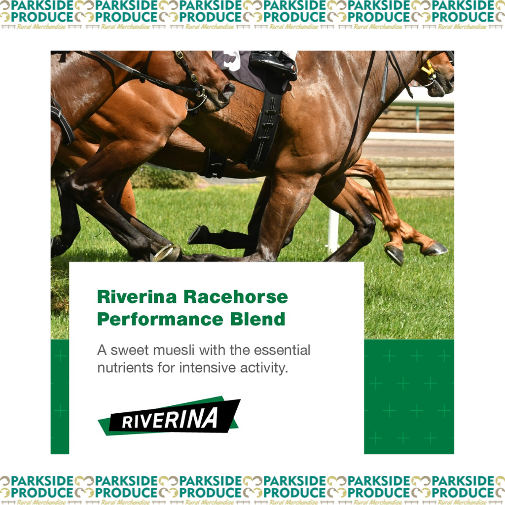 Racehorse performace blend