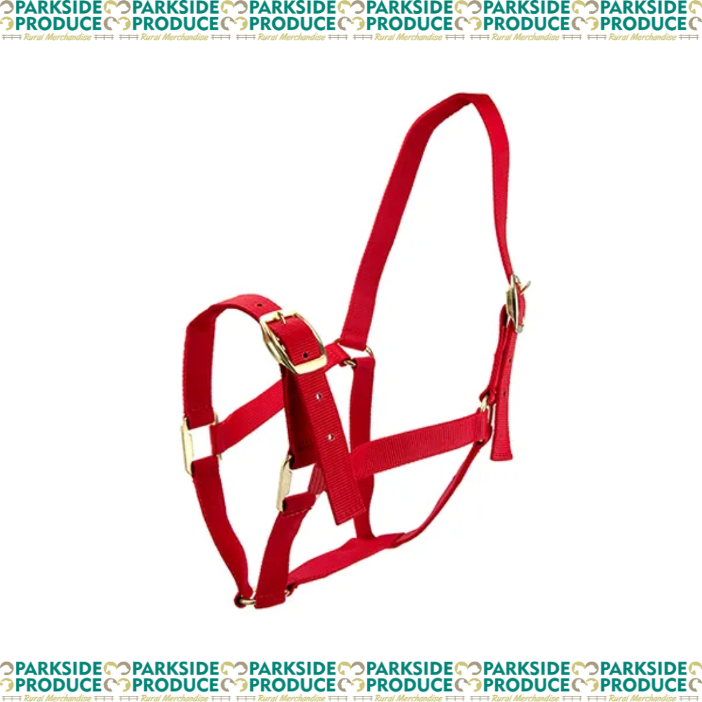 Horse Halter
