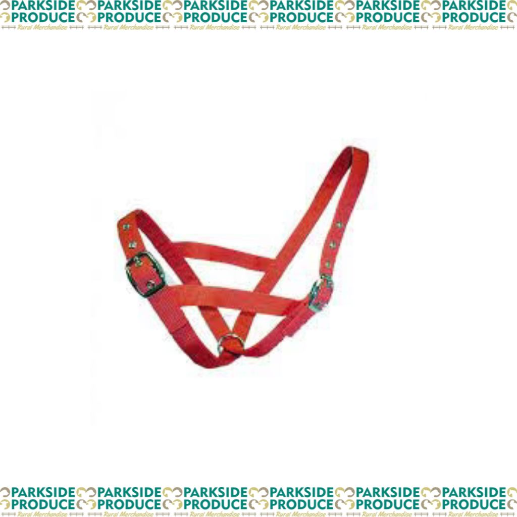 Calf Tethering Halter Nylon Red