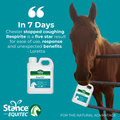 EQUITEC RESPIRITE 1 LT **