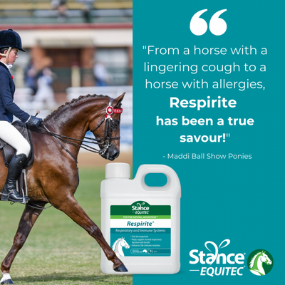 EQUITEC RESPIRITE 1 LT **