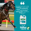 EQUITEC RESPIRITE 1 LT **