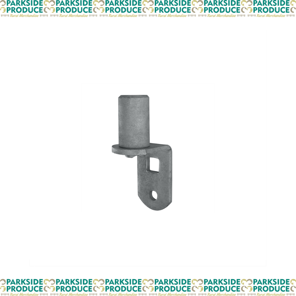 Gudgeon Heavy Duty Short Plate 50mm pin