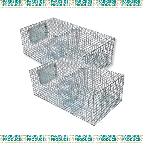 Multi Catch Sparrow Trap