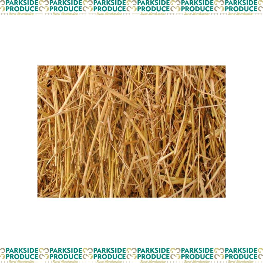 Tumut Straw Broom 3 Tie (Kids) Parkside Produce
