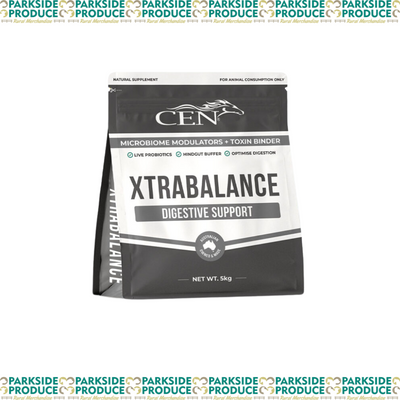 Xtra Balance
