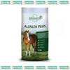 Alfalfa Plus