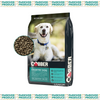 Cobber Active Dog (Changing to Adult w/Chicken)