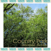 White Willow Bark Powder