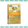 Advocate Dog 4-10kgs Medium 6s