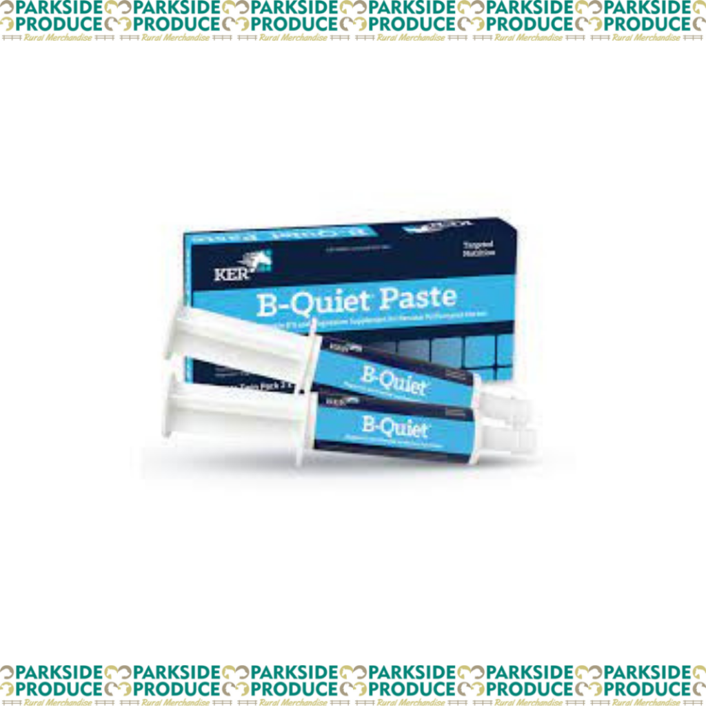 B-Quiet Paste 30gm Twin Pack