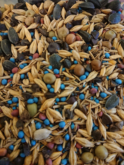 Chook Pasture/Forage Seed Blend - Autumn / Winter