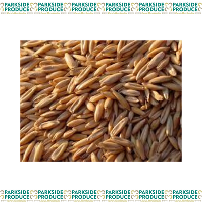Feed Oats