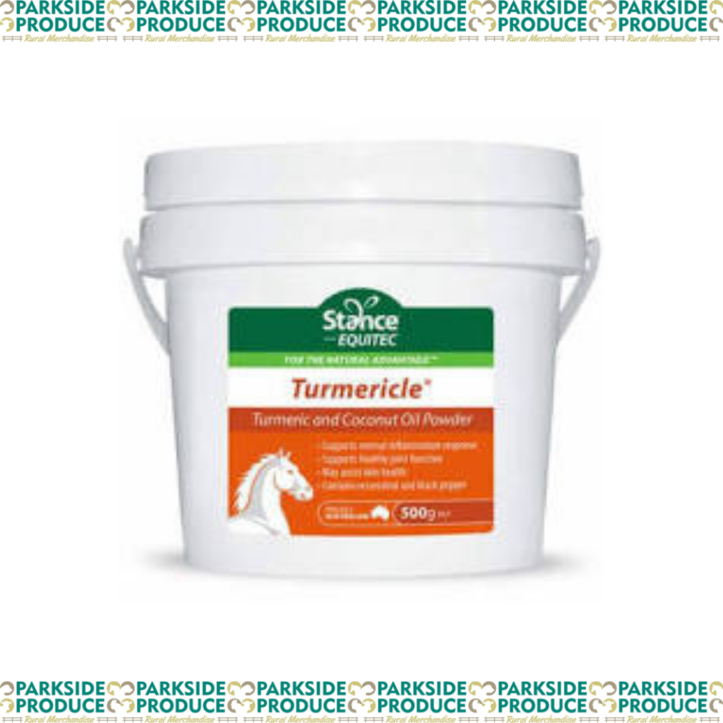 Stance Equitec Turmericle