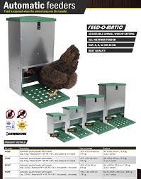Feed-o-Matic Poultry Feeder