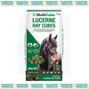 HAY CUBES - Lucerne