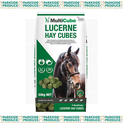 HAY CUBES - Lucerne