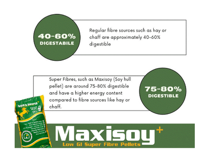 Maxisoy 20kg